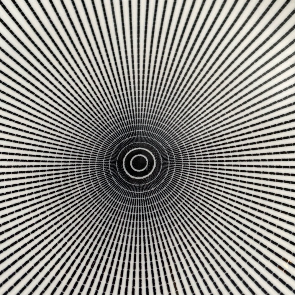 Royal Norfolk Black & White Optical Illusion ‘Dash’ porcelain dinner plate 10.5”